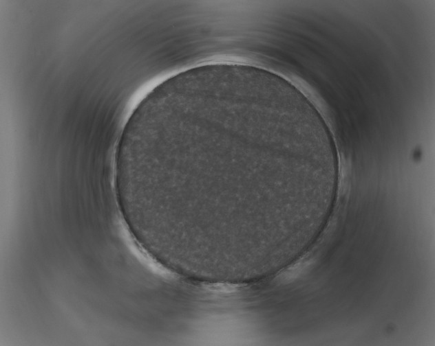 X0000116770862201001071215