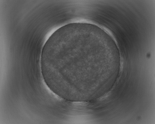 X0000116770863201001071215