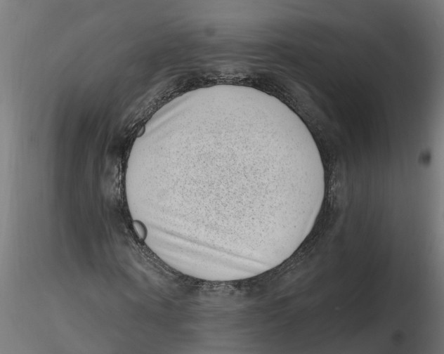 X0000116770866201001071214