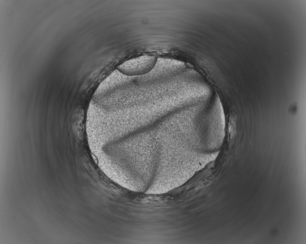 X0000116770867201001071214