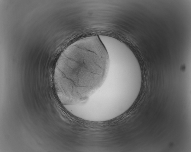 X0000116770868201001071214