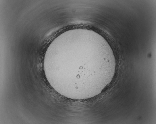 X0000116770869201001071214