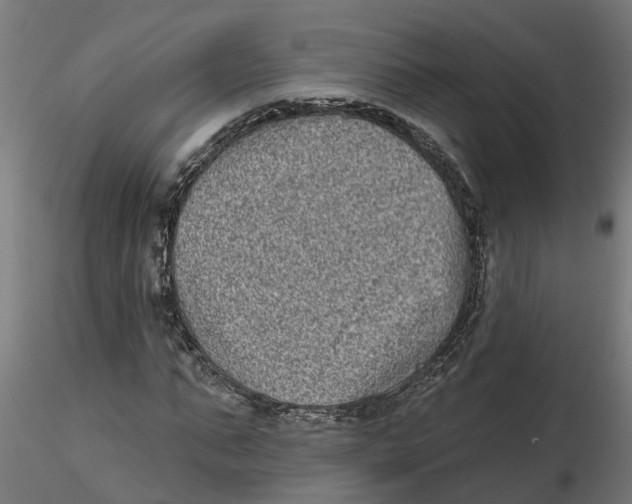 X0000116770871201001071214