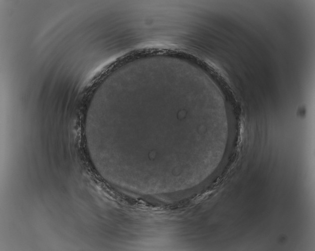 X0000116770872201001071214