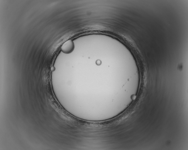 X0000116770873201001071214