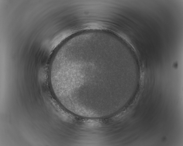 X0000116770874201001071214