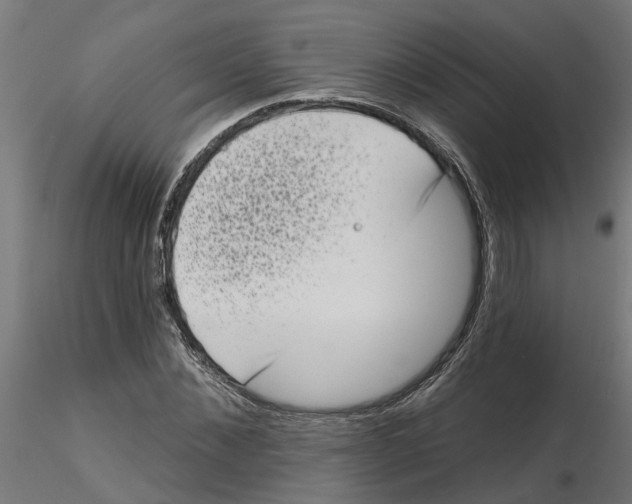 X0000116770876201001071214