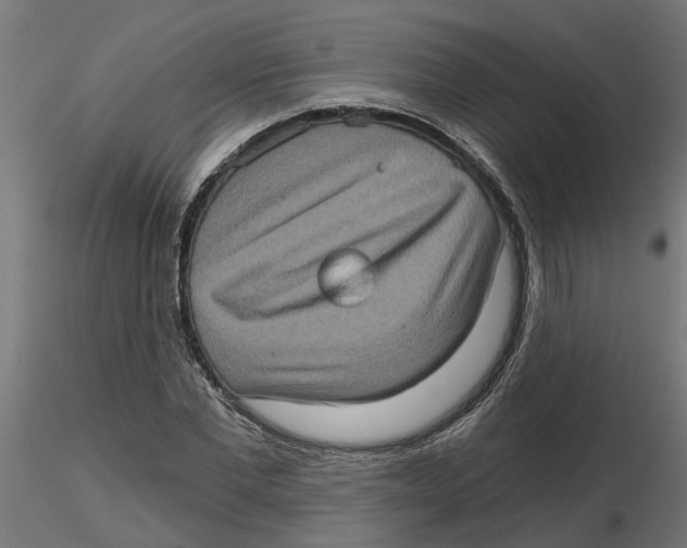 X0000116770877201001071214