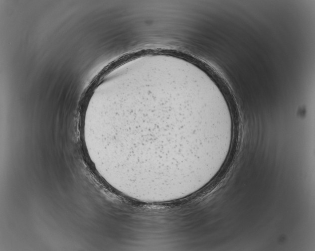 X0000116770878201001071214