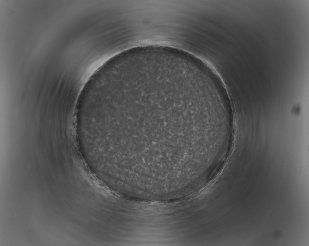 X0000116770879201001071214