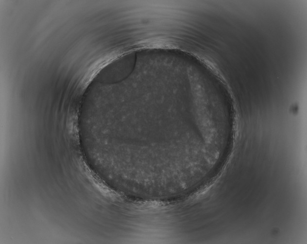 X0000116770881201001071214