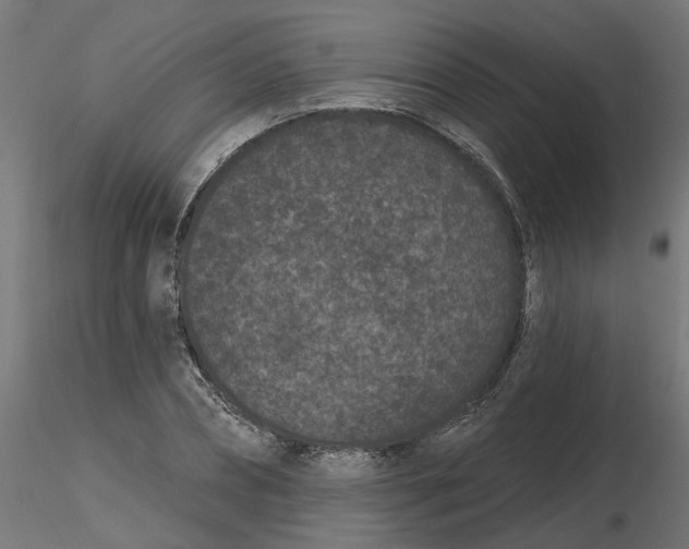 X0000116770882201001071214