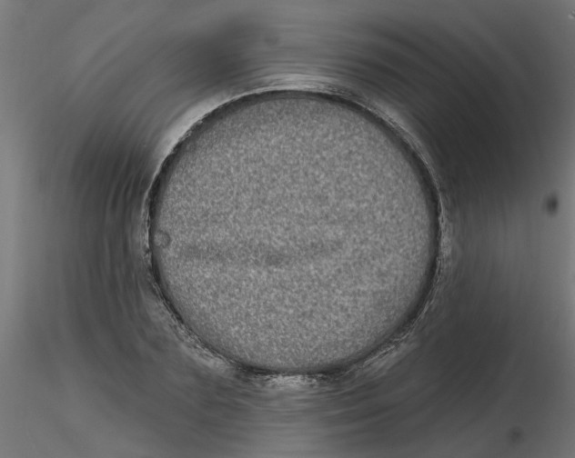 X0000116770883201001071214