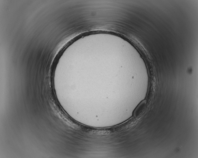 X0000116770884201001071214