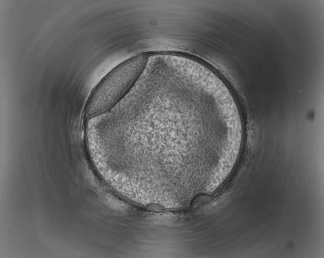 X0000116770885201001071214