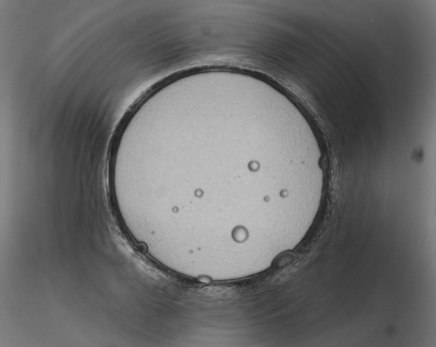 X0000116770888201001071214