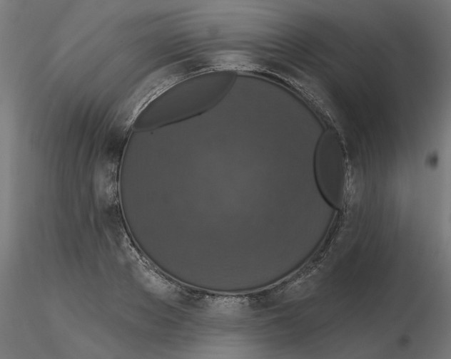 X0000116770889201001071214