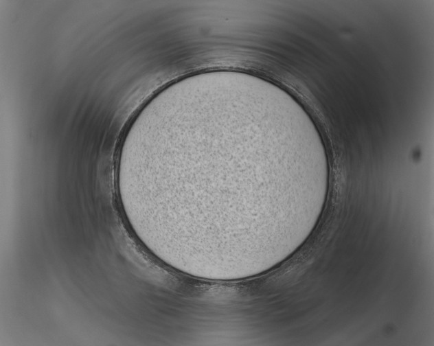 X0000116770890201001071214