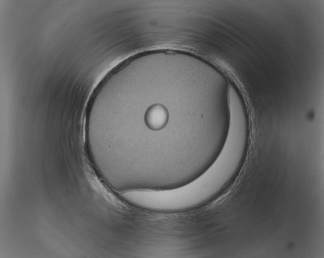 X0000116770892201001071214