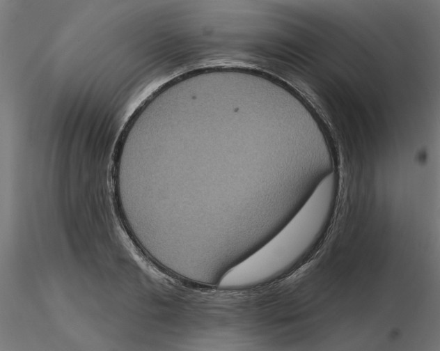 X0000116770893201001071214