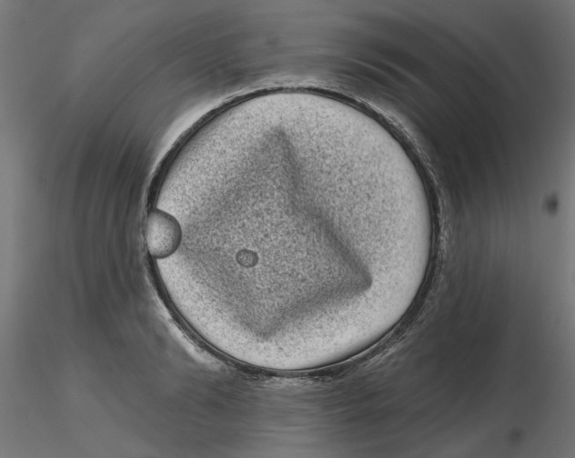 X0000116770894201001071214