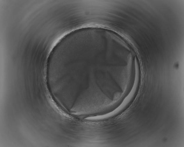 X0000116770896201001071214