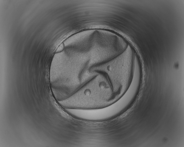 X0000116770897201001071214