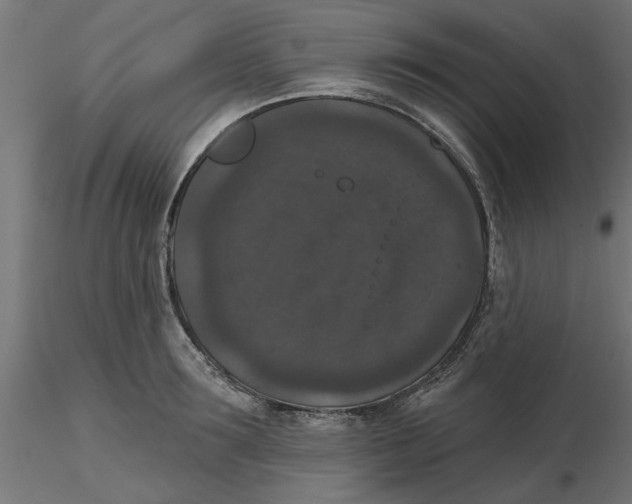 X0000116770899201001071214