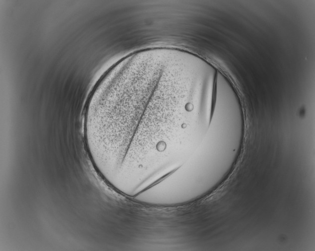 X0000116770900201001071214