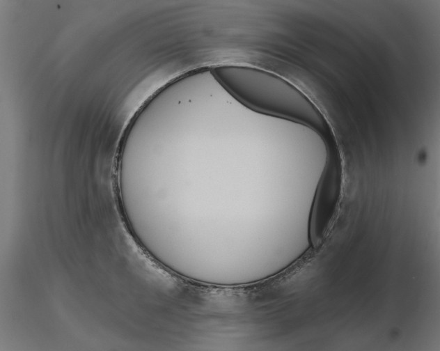 X0000116770901201001071213