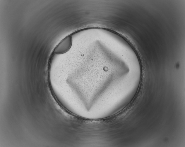 X0000116770902201001071213