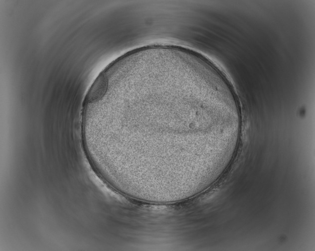 X0000116770903201001071213