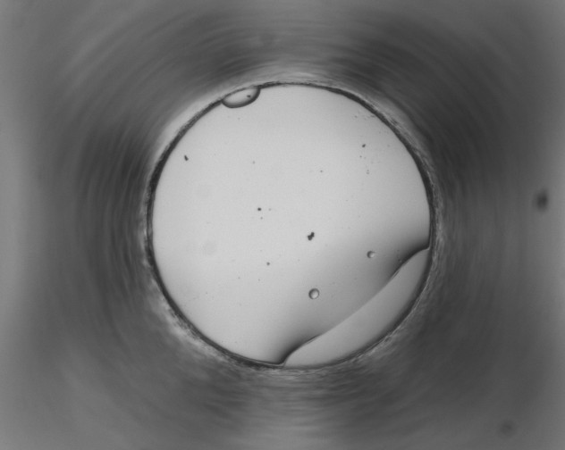 X0000116770904201001071213