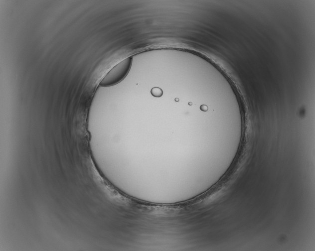 X0000116770905201001071213