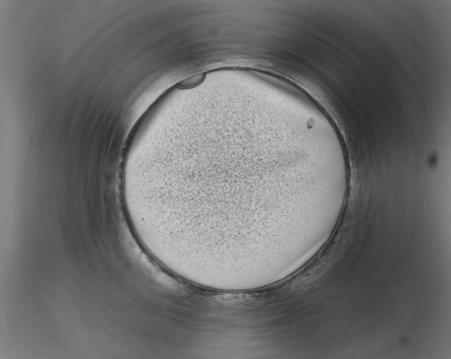 X0000116770906201001071213