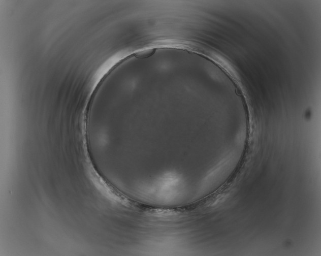 X0000116770907201001071213