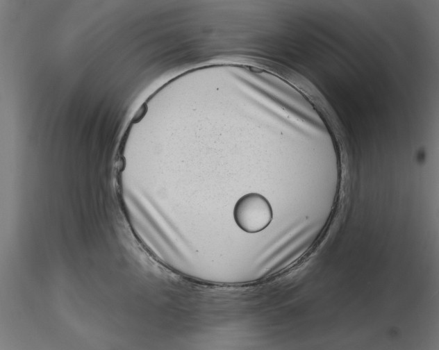 X0000116770908201001071213