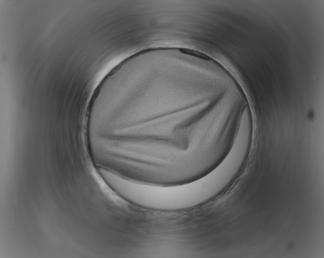 X0000116770909201001071213