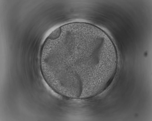 X0000116770910201001071213