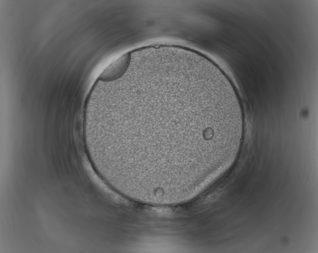 X0000116770911201001071213