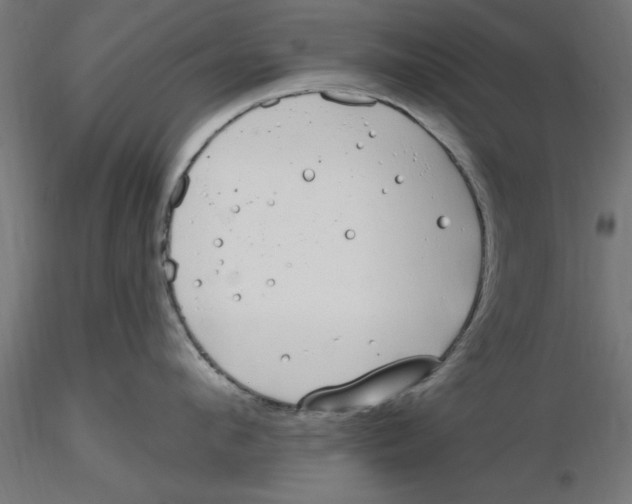 X0000116770912201001071213