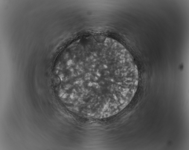 X0000116770913201001071213