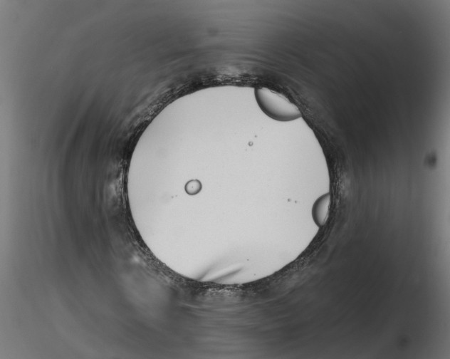 X0000116770914201001071213