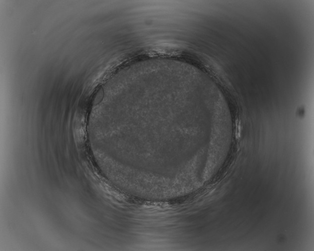 X0000116770915201001071213