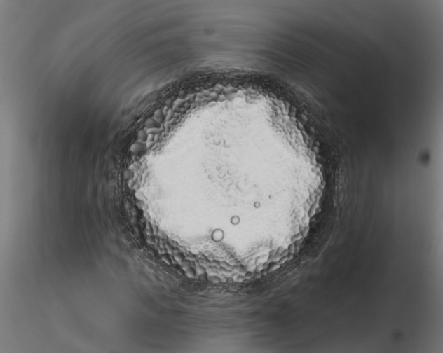 X0000116770917201001071213