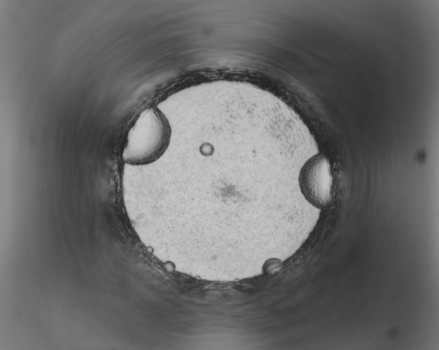 X0000116770918201001071213