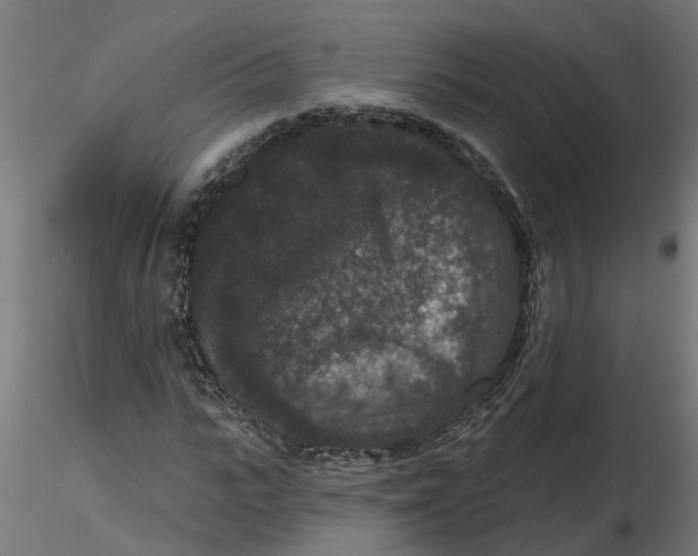 X0000116770919201001071213