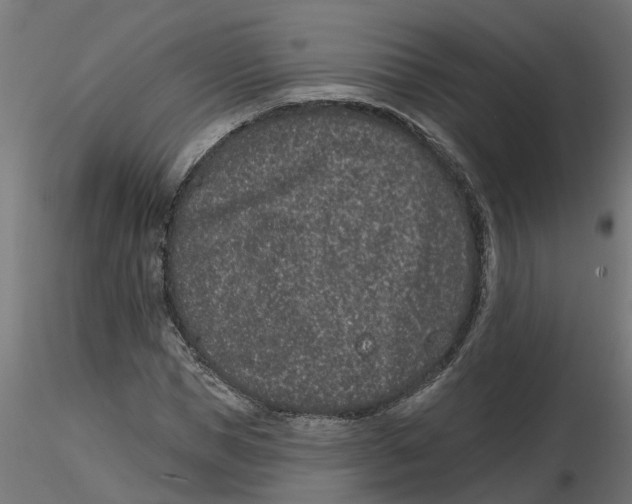 X0000116770921201001071213