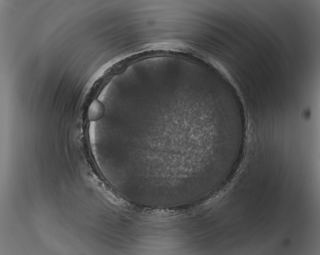 X0000116770923201001071213