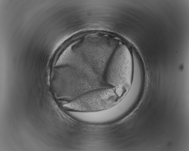 X0000116770925201001071213